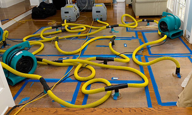 Professional Basement Flood Cleanup technician working in Brunswick, MD